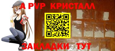 стаф Можга